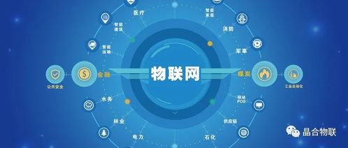 万物互联 21世纪互联网信息服务的新纪元